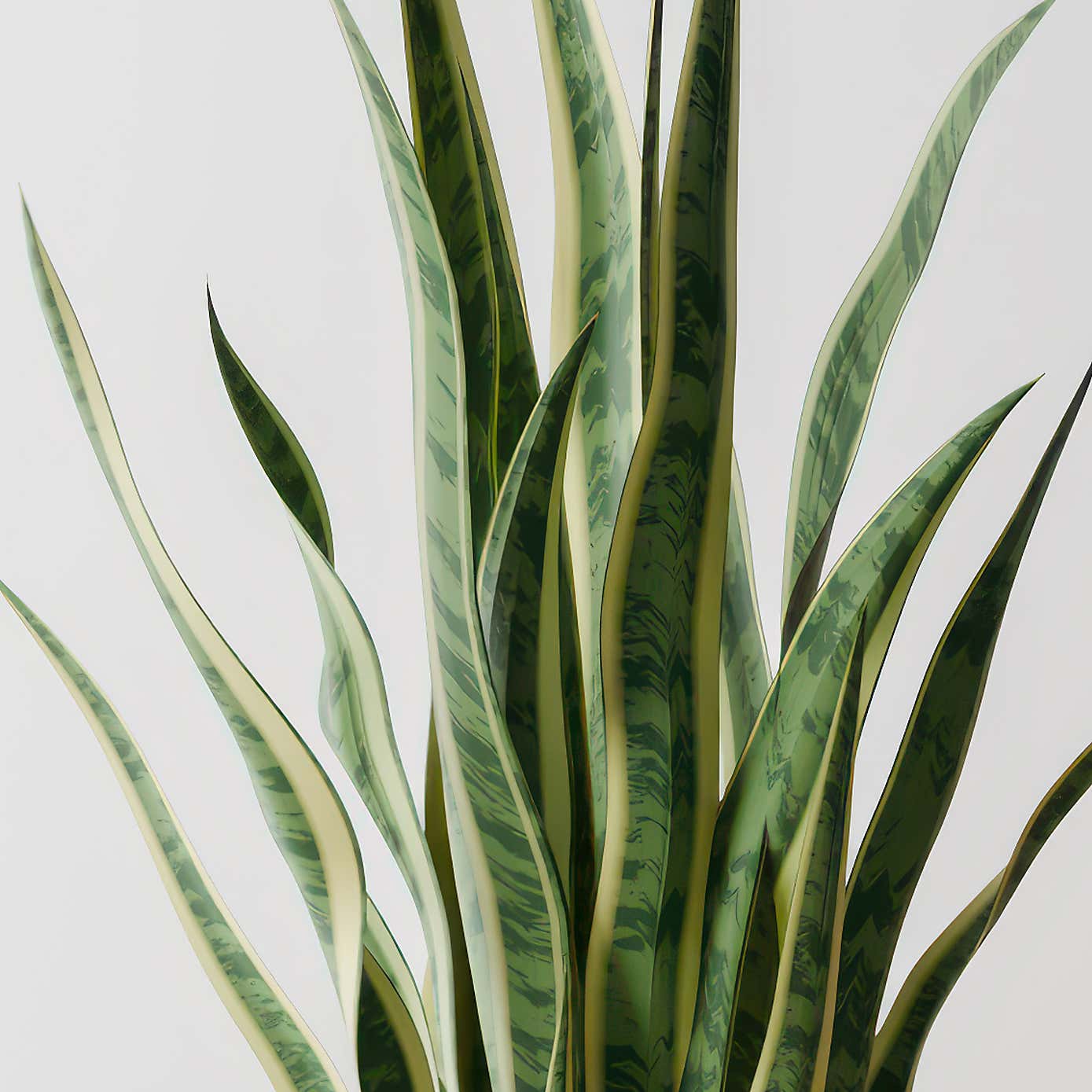 Carousel zoom image position 2 of 4