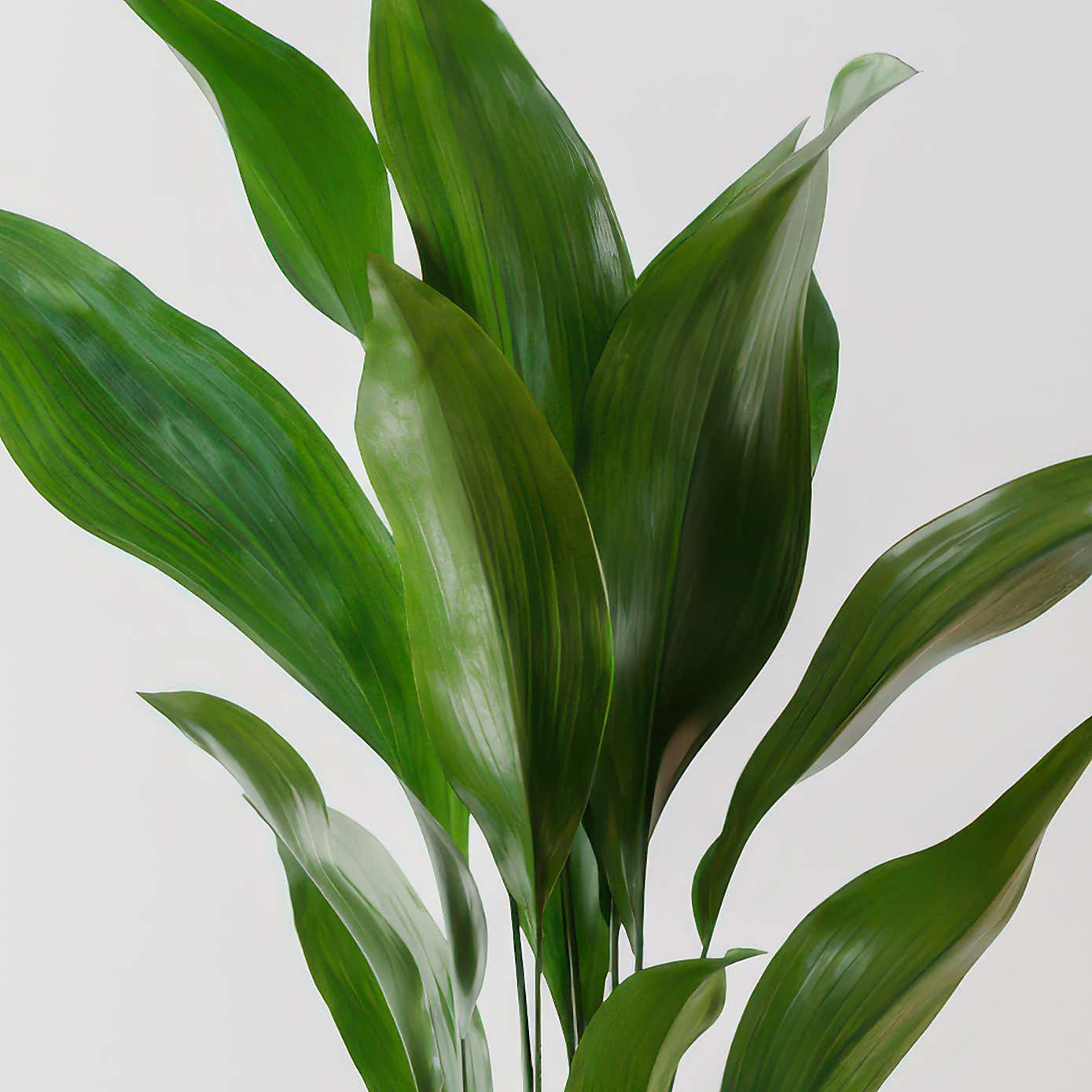 Carousel zoom image position 2 of 4