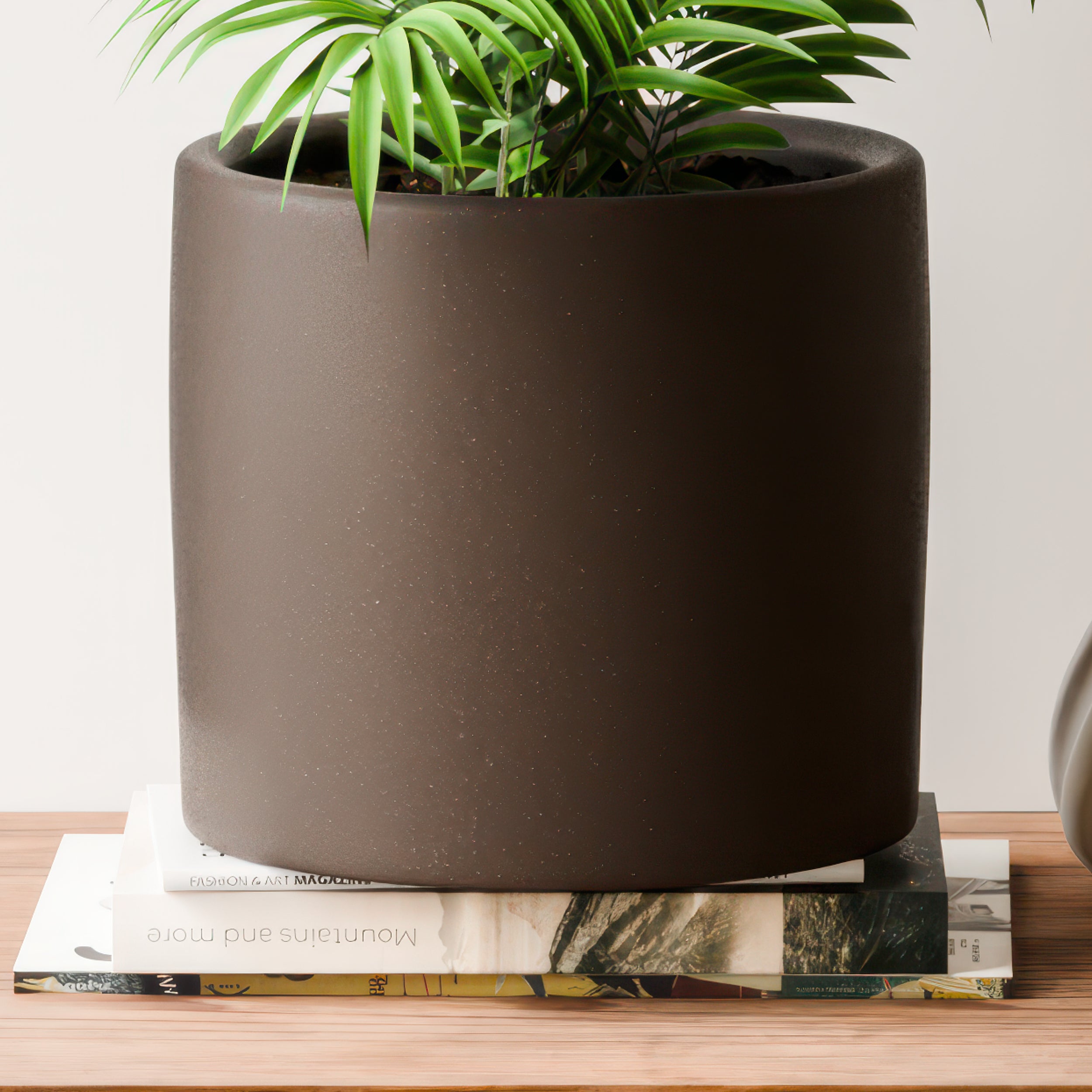 Parlour Palm House Plant in Earthenware Pot Earthenware Graphite undefined