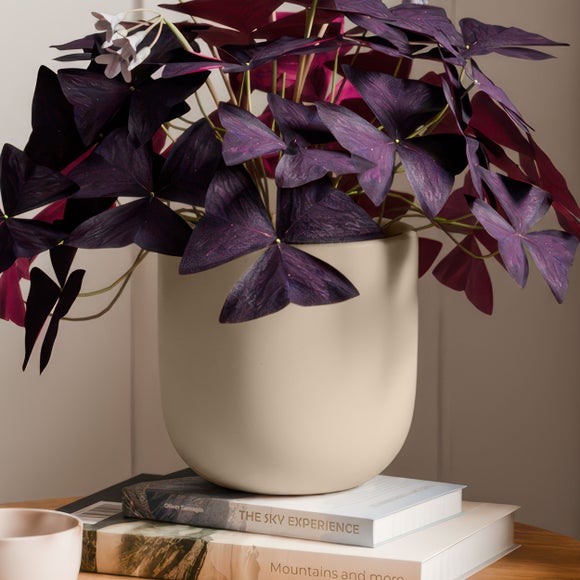 Carousel navigation image position 3 of 4