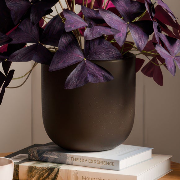 Carousel navigation image position 3 of 4