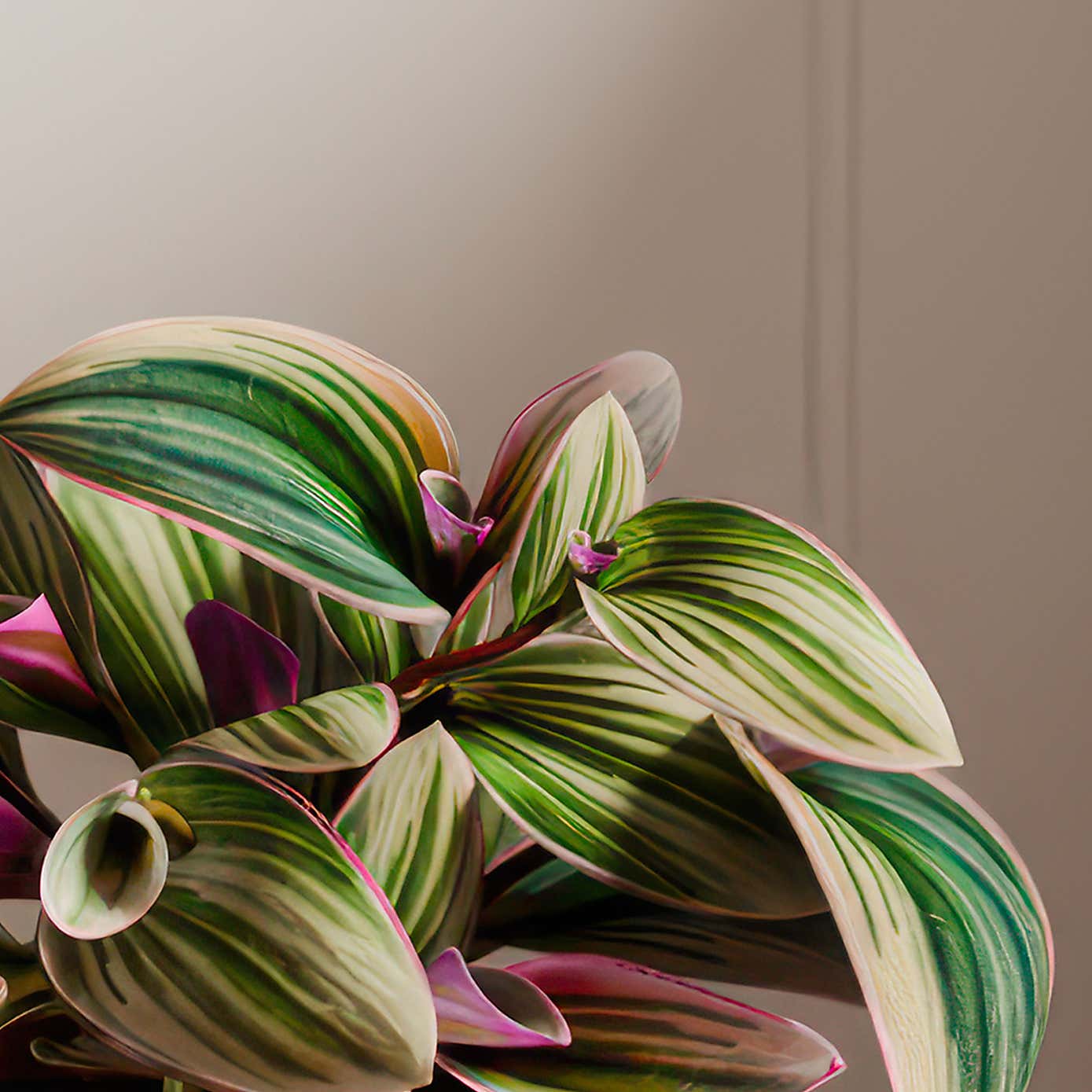 Carousel zoom image position 2 of 3