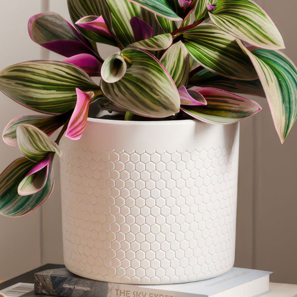 Carousel navigation image position 3 of 4