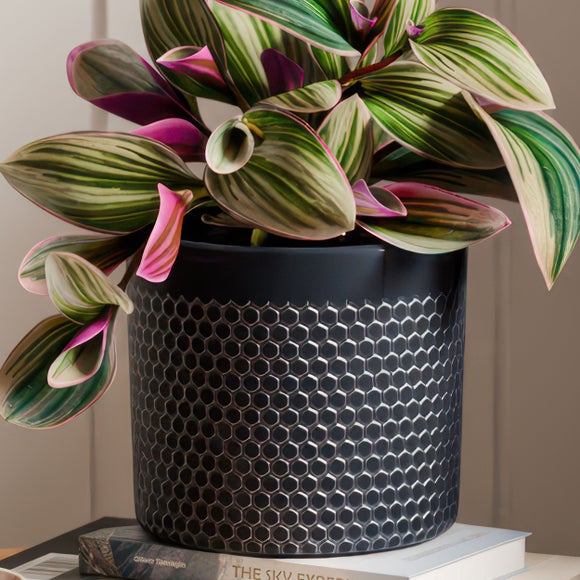 Carousel navigation image position 3 of 4