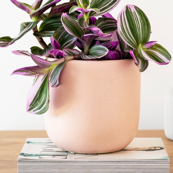 Carousel navigation image position 3 of 4