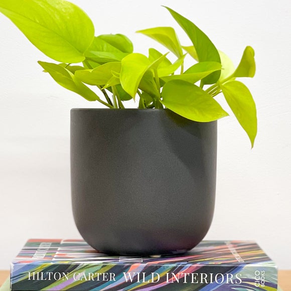 Carousel navigation image position 4 of 5