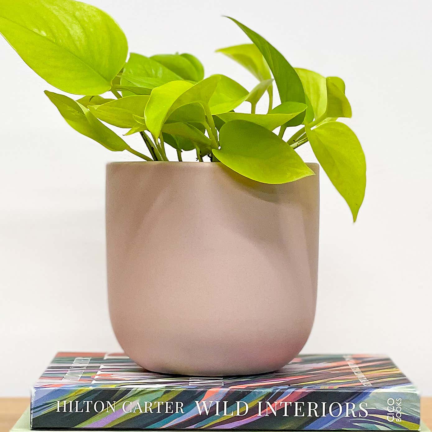 Carousel zoom image position 4 of 5