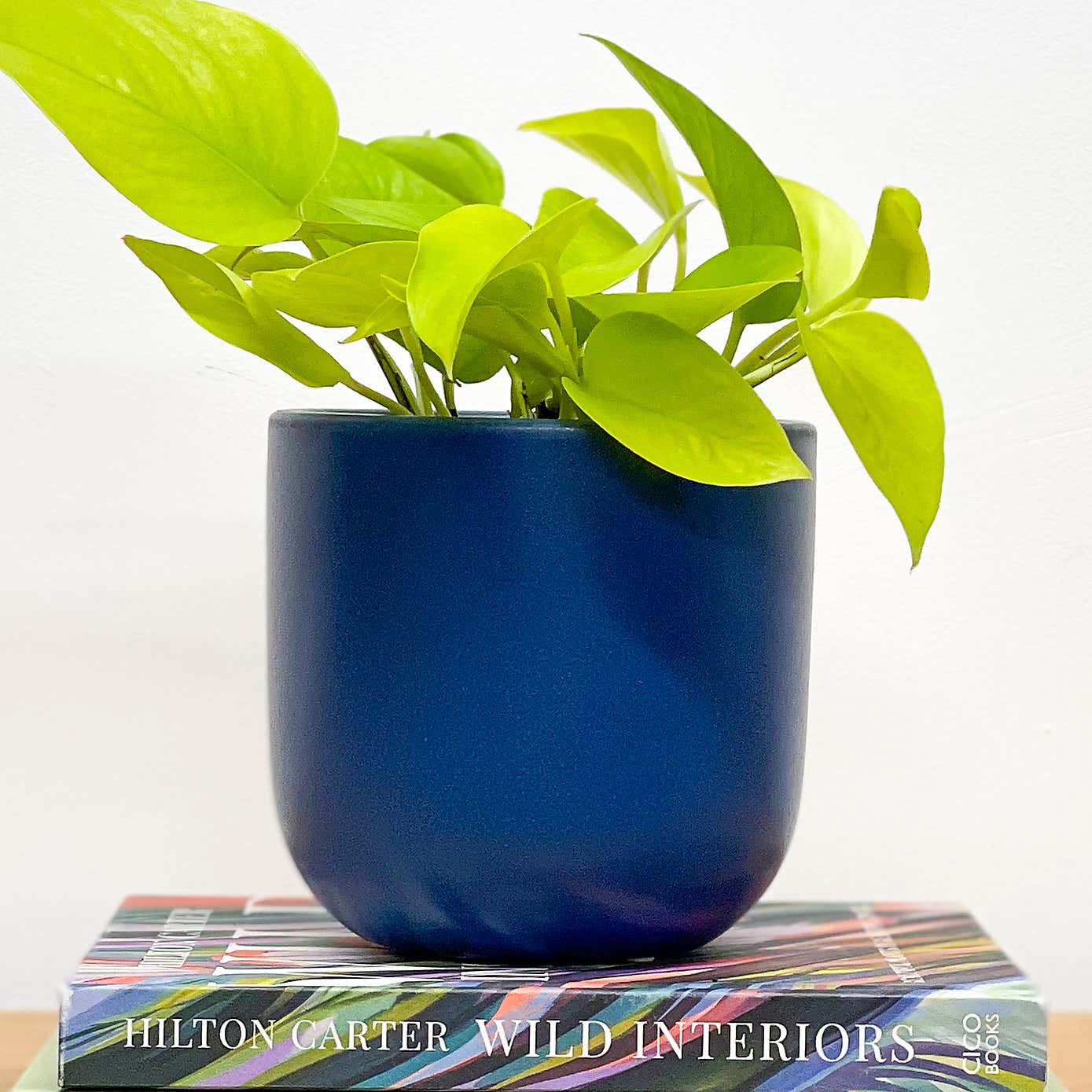 Carousel zoom image position 4 of 5