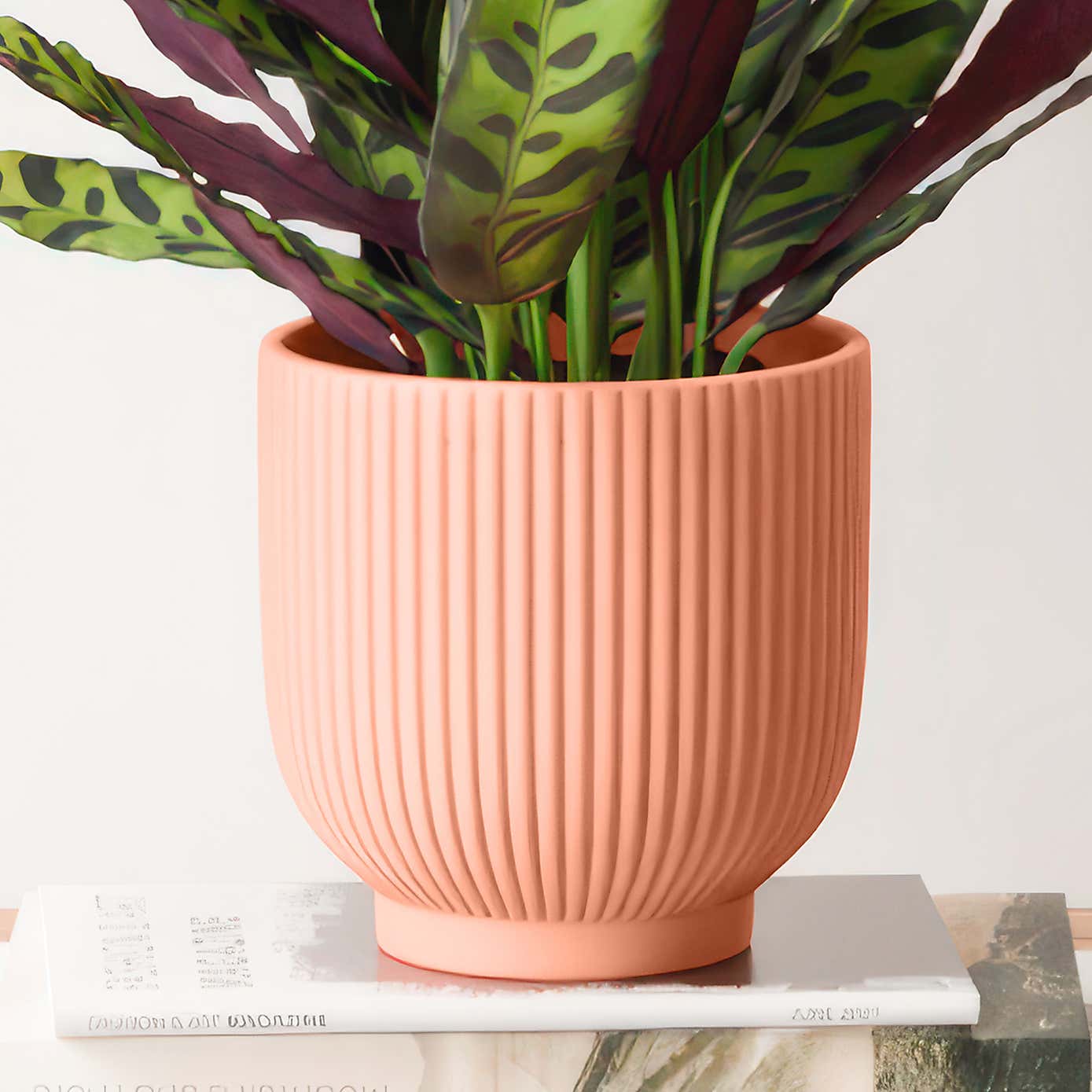 Carousel zoom image position 3 of 4