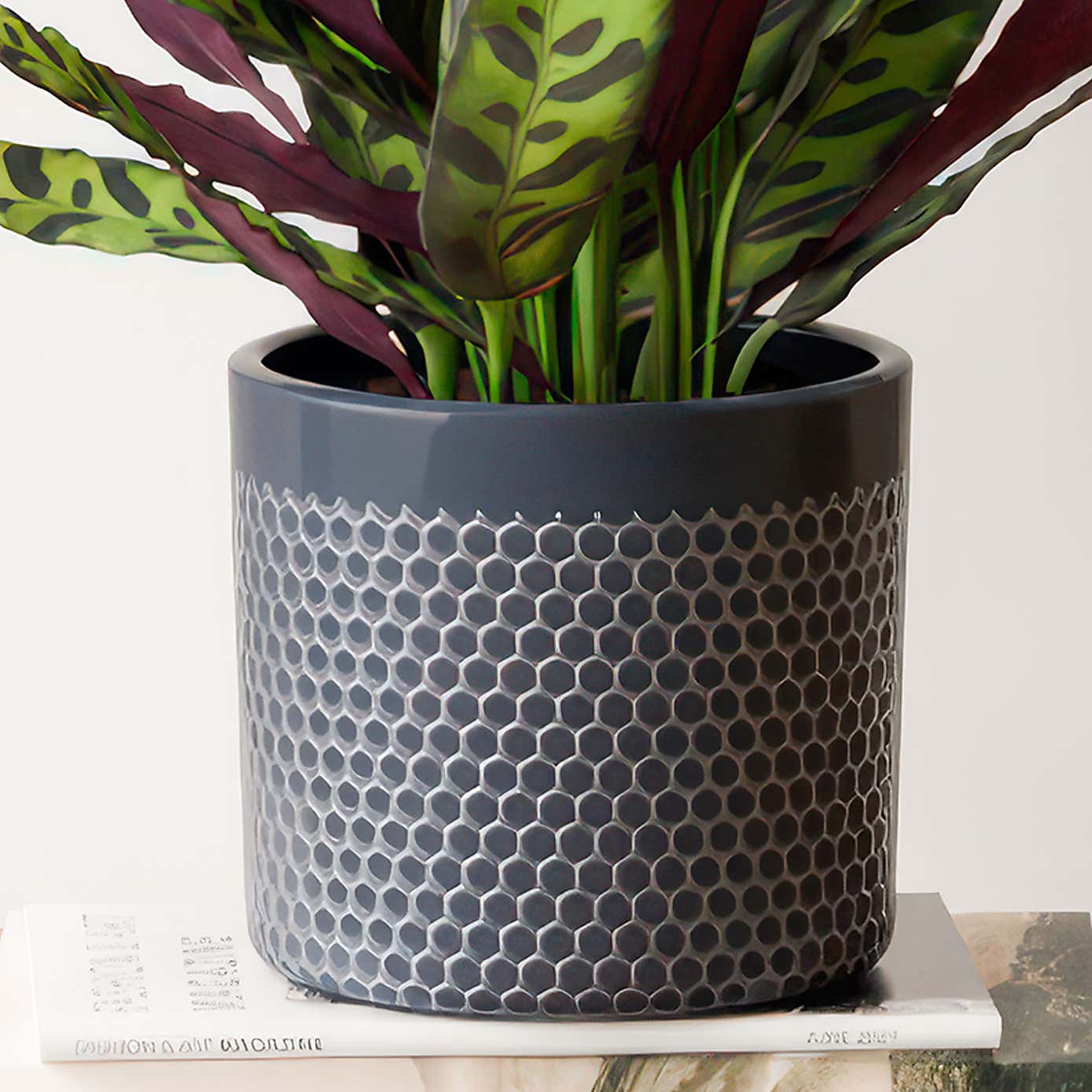 Carousel zoom image position 3 of 4