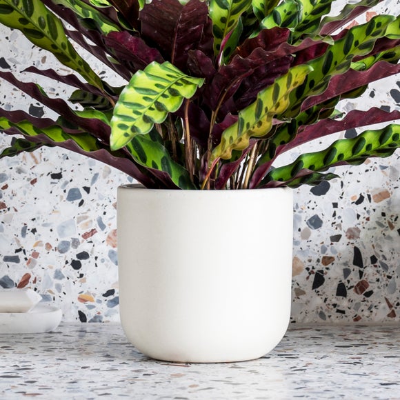 Carousel navigation image position 3 of 4