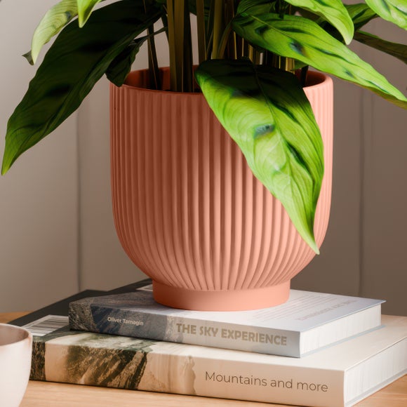 Carousel navigation image position 3 of 4