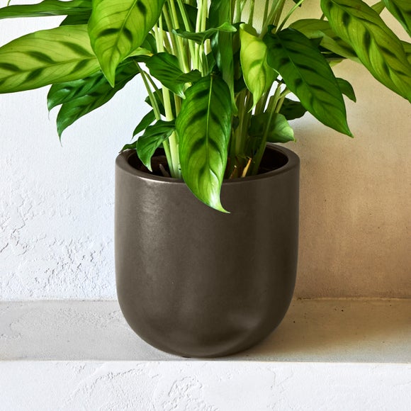 Carousel navigation image position 3 of 4