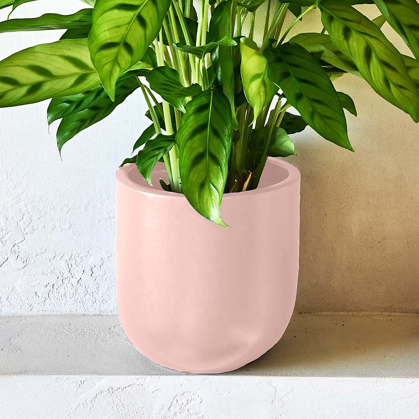 Carousel zoom image position 3 of 4