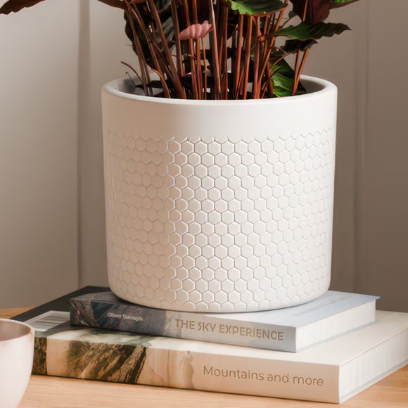 Carousel navigation image position 3 of 4