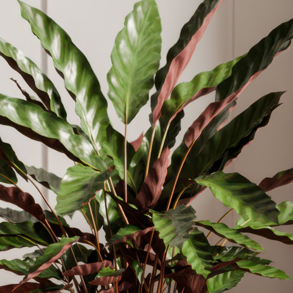 Carousel navigation image position 2 of 4