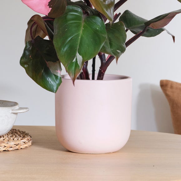 Carousel navigation image position 4 of 5