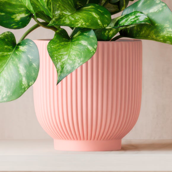 Carousel navigation image position 3 of 4