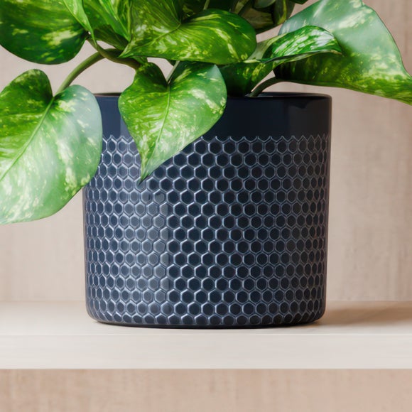 Carousel navigation image position 3 of 4