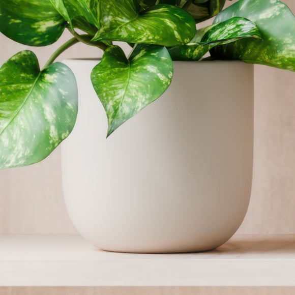 Carousel navigation image position 3 of 4