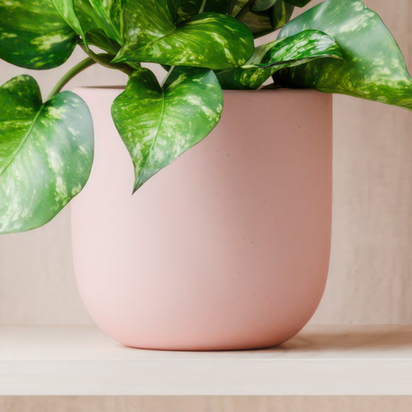 Carousel navigation image position 3 of 4