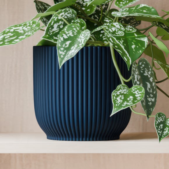 Trailing Satin Pothos House Plant in Elho Pot