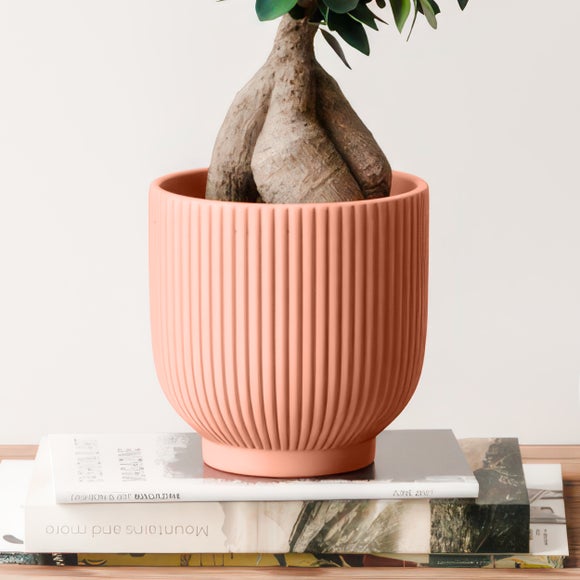 Carousel navigation image position 3 of 4