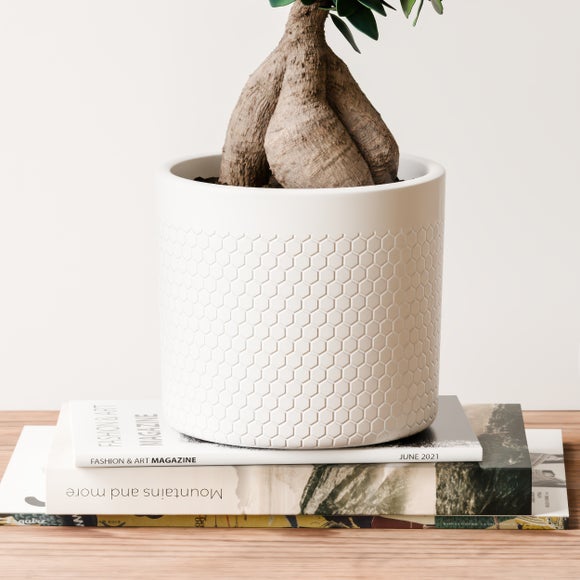 Carousel navigation image position 3 of 4