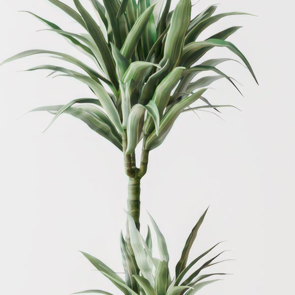 Carousel navigation image position 2 of 4