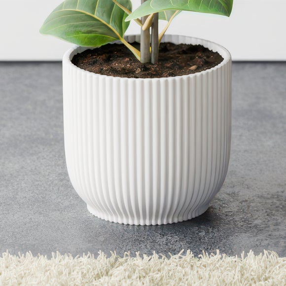 Ficus Altissima House Plant in Elho Vibes Pot