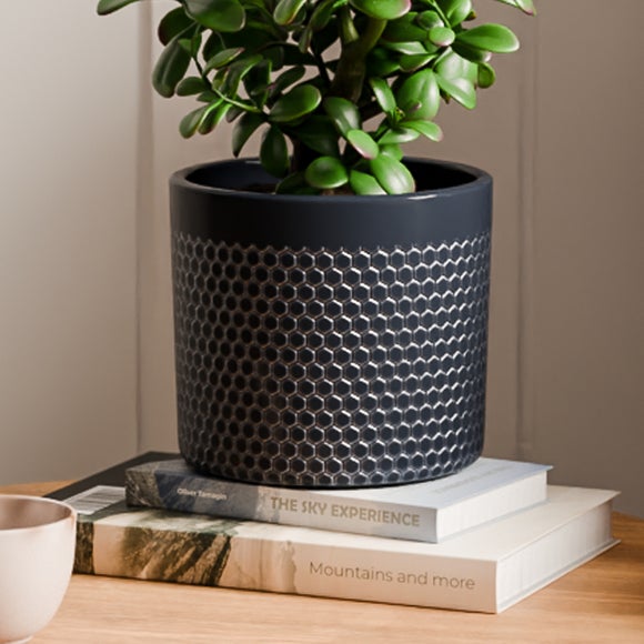 Carousel navigation image position 3 of 4