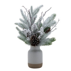 Snowy Pine Potted Arrangement With Foilage & Cones