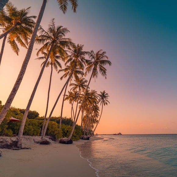 Carousel navigation image position 2 of 5