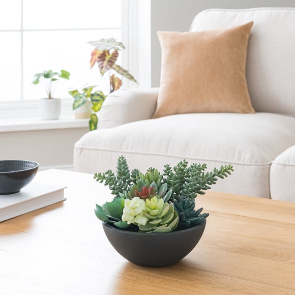 Artificial Succulent In Black Plant Pot