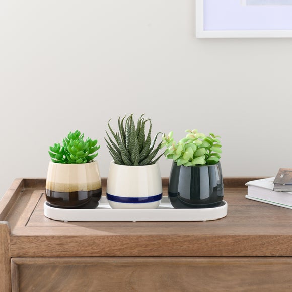 Set Of 3 Artificial Succulents In Ceramic Plant Pots With Tray