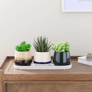 Set Of 3 Artificial Succulents In Ceramic Plant Pots With Tray