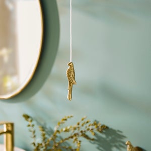 Parrot Light Pull