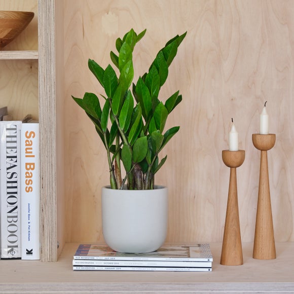 Earthenware Plant Pot