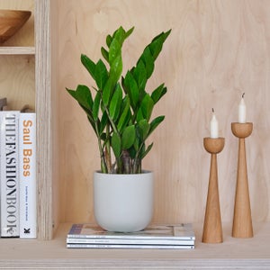 Earthenware Plant Pot