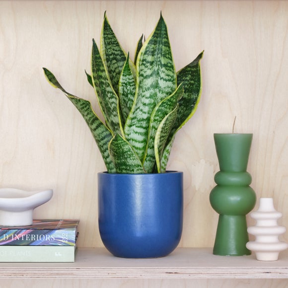 Earthenware Plant Pot