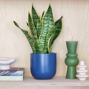 Earthenware Plant Pot