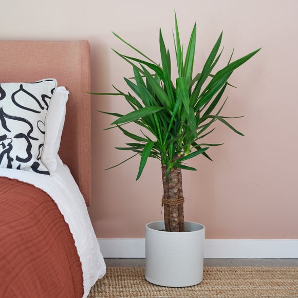 Earthenware Plant Pot