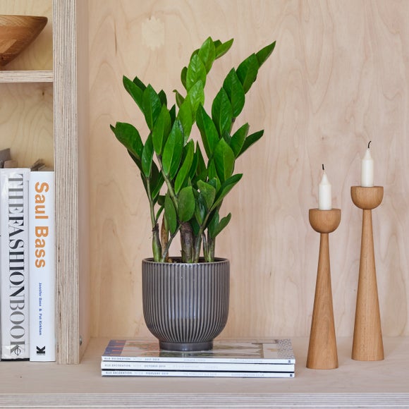 View Ribbed Ceramic Plant Pot View Ribbed Ceramic Plant Pot