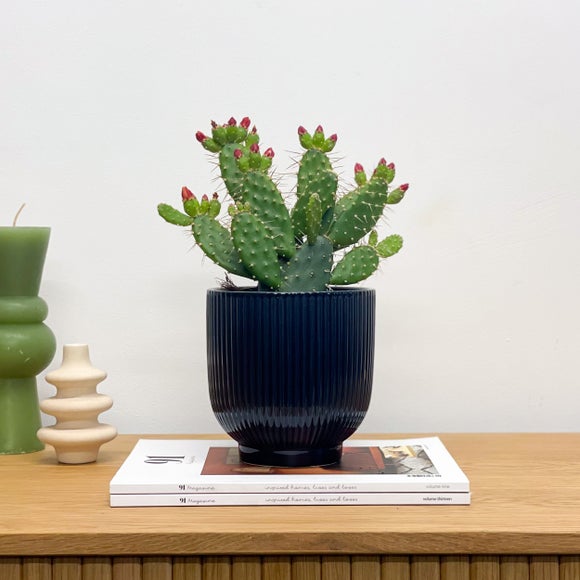 Ribbed Ceramic Plant Pot