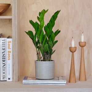 Capri Plant Pot