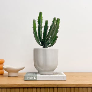 Ribbed Ceramic Plant Pot