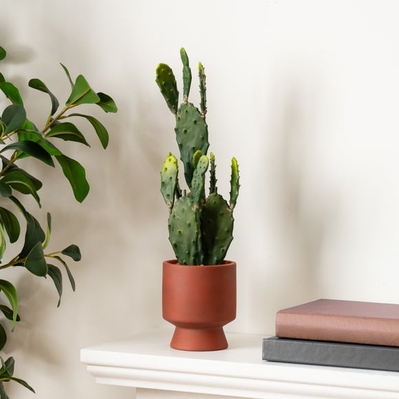 Artificial Tall Cactus In Ceramic Plant Pot