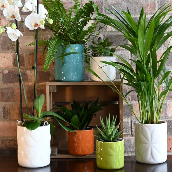 Navigate Carnaby Ceramic Embossed Plant Pot