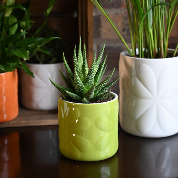 Navigate Carnaby Ceramic Embossed Plant Pot