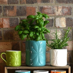 Navigate Carnaby Ceramic Embossed Plant Pot